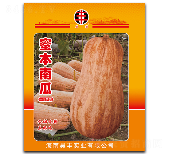 èœœæœ¬å—ç“œ-å—ç“œç¨®å­-é‡‘å‡±ç‘ž