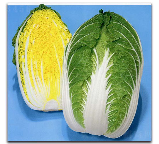 å¤©ç¦è¶…é»ƒ-å¤§ç™½èœç¨®å­-è¾²(nÃ³ng)æ’­çŽ‹