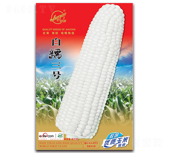 膠研白糯2號(hào)-糯玉米種子-膠研