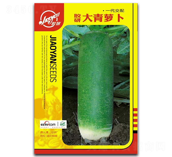 è† ç ”å¤§é’è˜¿åœ-è˜¿åœç¨®å­-è† ç ”