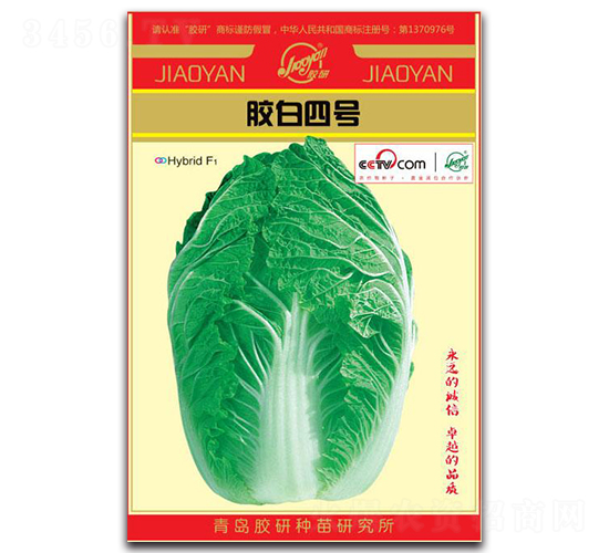 膠白四號-春播白菜種子-膠研