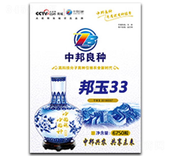 邦玉33-玉米種子-中邦農(nóng)業(yè)