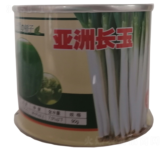 亞洲長(zhǎng)玉-大蔥種子-鑫星農(nóng)業(yè)