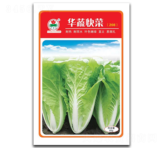 華蔬快菜-快菜種子-華蔬種業(yè)