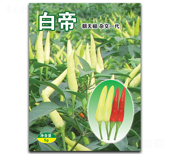 ç™½å¸-æœå¤©æ¤’ç¨®å­-è¯è”¬ç¨®æ¥­(yÃ¨)