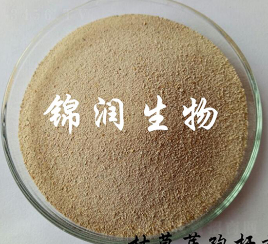 æž¯è‰èŠ½å­¢æ¡¿èŒ-éŒ¦æ½¤(rÃ¹n)ç”Ÿç‰©