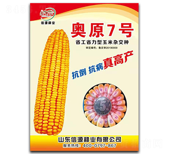 奧原7號-玉米種子-信源種業(yè)