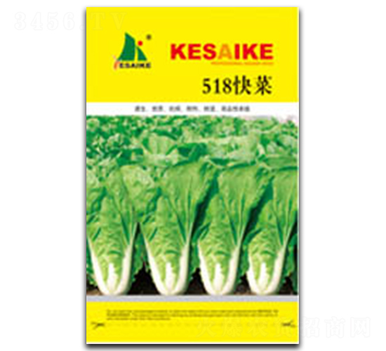 518快菜-快菜種子-顆賽顆