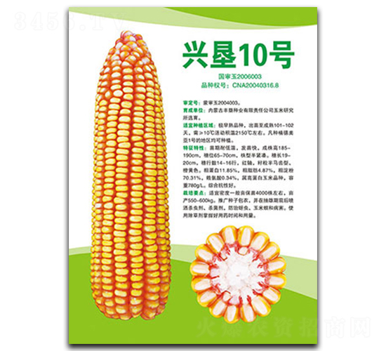 興墾10號-玉米種子-豐墾種業(yè)