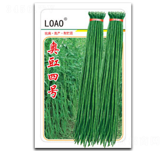 奧豇四號-豇豆種子-綠奧