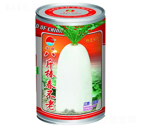 八斤棒春不老-白蘿卜種子-華農(nóng)種業(yè)