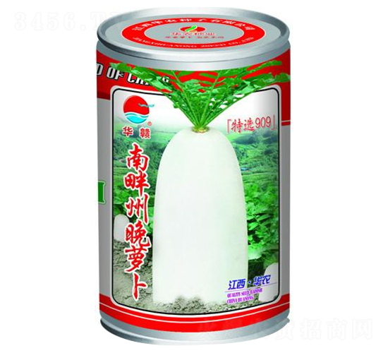 南畔州晚蘿卜-白蘿卜種子-華農(nóng)種業(yè)