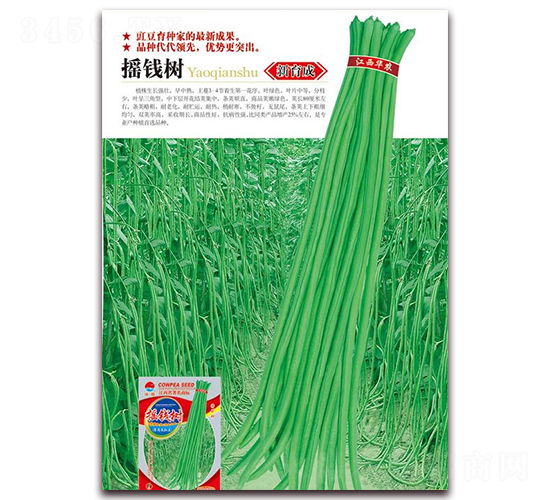 æ–éŒ¢(qiÃ¡n)æ¨¹(shÃ¹)-è±‡è±†ç¨®å­-è¯è¾²(nÃ³ng)ç¨®æ¥­(yÃ¨)