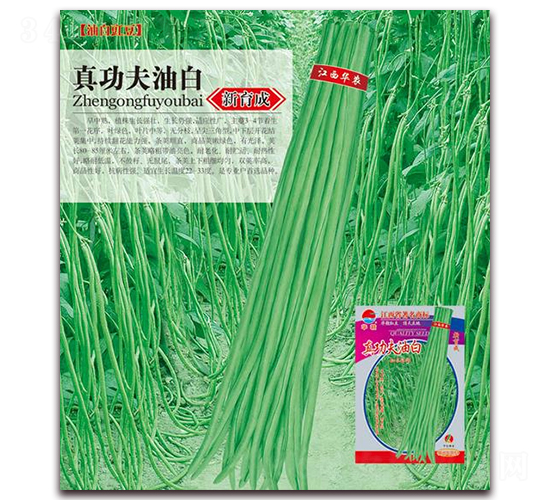 çœŸåŠŸå¤«æ²¹ç™½-è±‡è±†ç¨®å­-è¯è¾²(nÃ³ng)ç¨®æ¥­(yÃ¨)