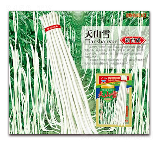 å¤©å±±é›ª-è±‡è±†ç¨®å­-è¯è¾²(nÃ³ng)ç¨®æ¥­(yÃ¨)