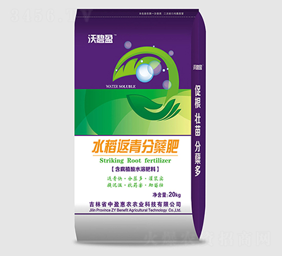 æ°´ç¨»è¿”é’åˆ†è˜—è‚¥-æ²ƒç¢§ç›ˆ-ä¸­ç›ˆæƒ è¾²(nÃ³ng)