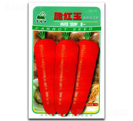 脆紅玉-蘿卜種子-綠百旺