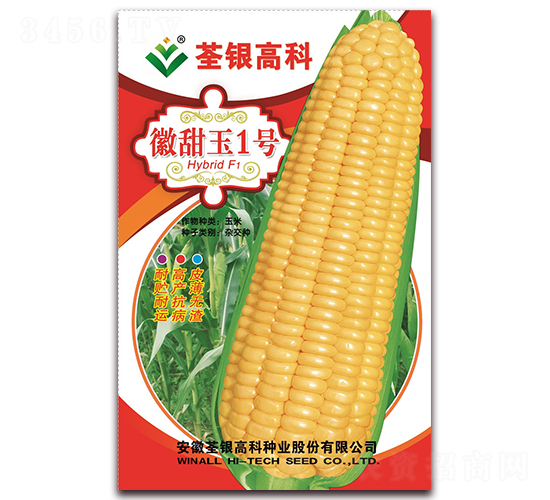 徽甜玉1號(hào)-甜玉米種子-荃銀瓜菜