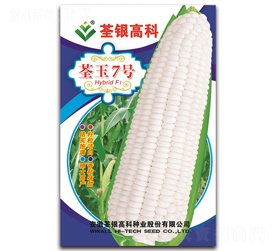 荃玉7號(hào)-糯玉米種子-荃銀瓜菜