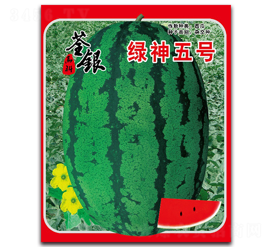 綠神五號-西瓜種子-荃銀瓜菜