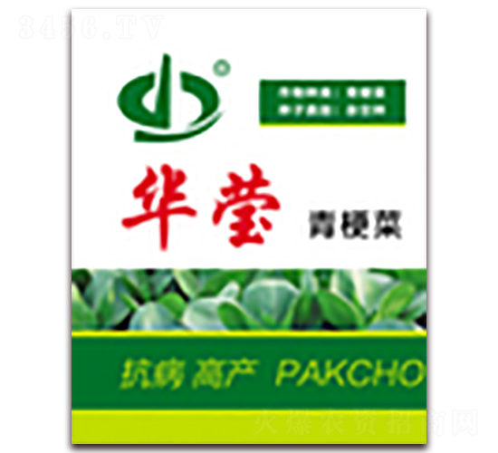華瑩-青梗菜種子-天瑞種子