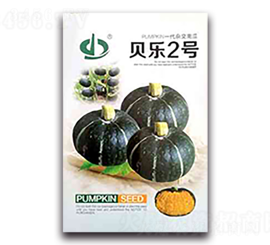 貝樂2號-南瓜種子-天瑞種子