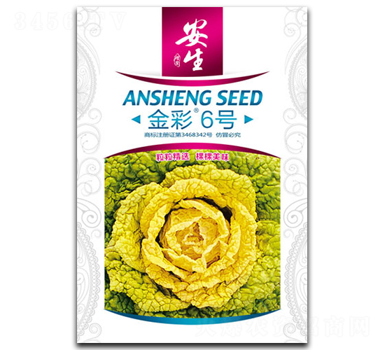 金彩6號(hào)-青菜種子-安生