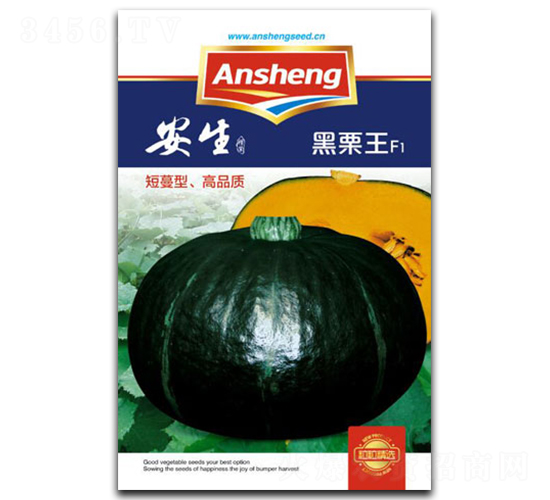 黑栗王-南瓜種子-安生
