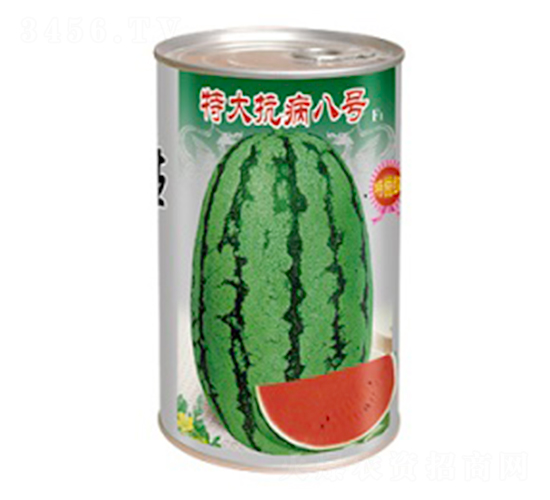 特大抗病八號(hào)-西瓜種子-安生