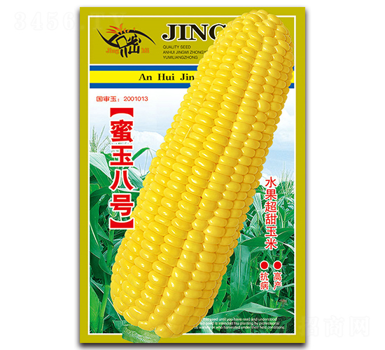 中糯301-糯玉米種子-京密種業(yè)