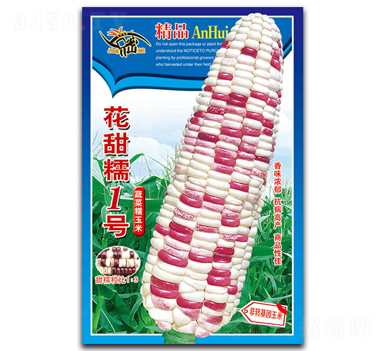 花甜糯一號-糯玉米種子-京密種業(yè)