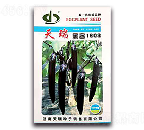 é»‘å®¢1603-èŒ„å­ç¨®å­-å¤©ç‘žç¨®å­