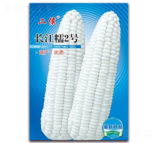 100g長(zhǎng)江糯2號(hào)-糯玉米種子-長(zhǎng)江種子