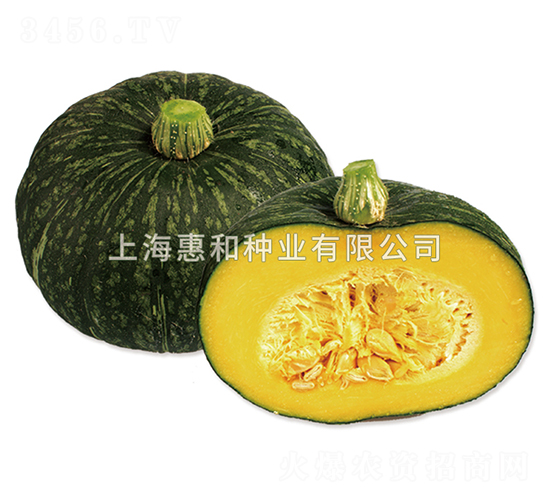 栗子-南瓜種子-惠和種業(yè)