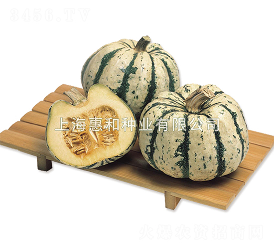 翡翠桔-南瓜種子-惠和種業(yè)
