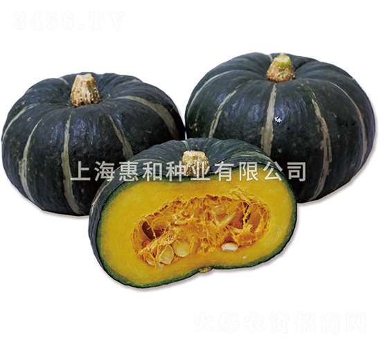 貝貝三號-南瓜種子-惠和種業(yè)