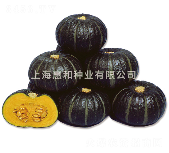 貝貝二號(hào)-南瓜種子-惠和種業(yè)