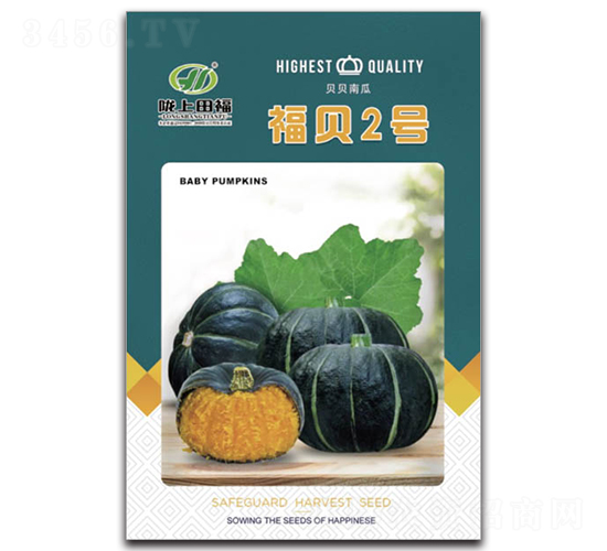 福貝2號(hào)-南瓜種子-田福農(nóng)業(yè)