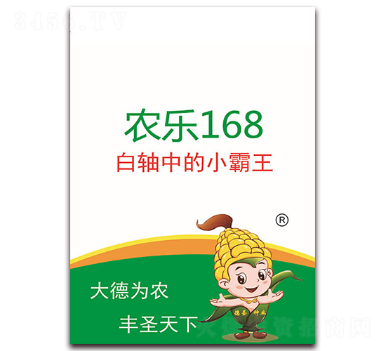 農(nóng)樂168-玉米種子-德圣種業(yè)