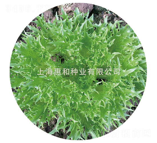 æ ¼æž—-ç”Ÿèœç¨®å­-æƒ å’Œç¨®æ¥­(yÃ¨)