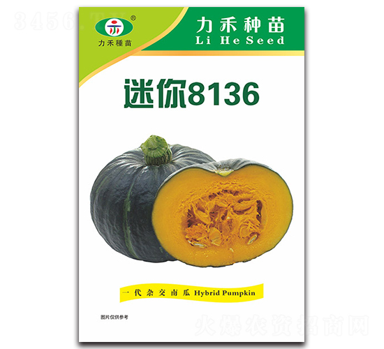 迷你8136-南瓜種子-力禾農(nóng)業(yè)