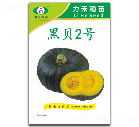 黑貝2號-南瓜種子-力禾農(nóng)業(yè)