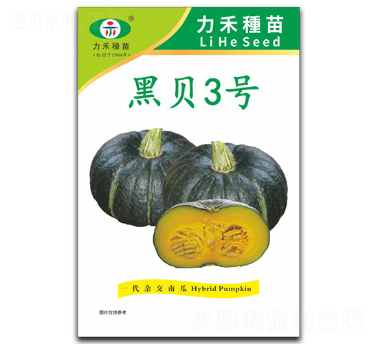 黑貝3號-南瓜種子-力禾農(nóng)業(yè)