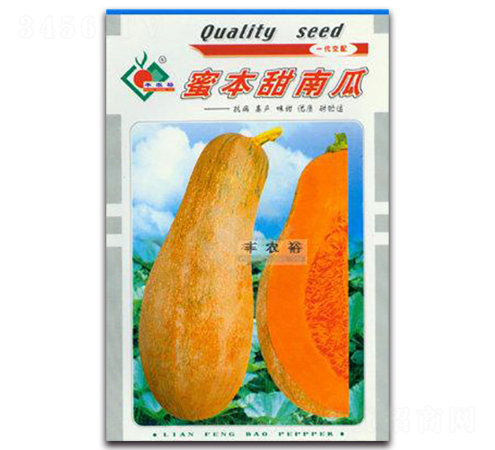 蜜本甜南瓜-南瓜種子-豐裕農(nóng)業(yè)