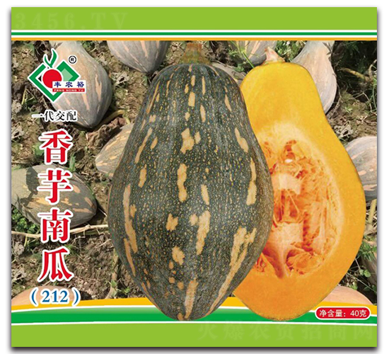 香芋南瓜（212）-南瓜種子-豐裕農(nóng)業(yè)