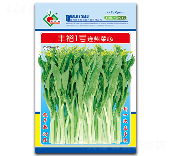 豐裕1號連州菜心-菜心種子-豐裕農(nóng)業(yè)