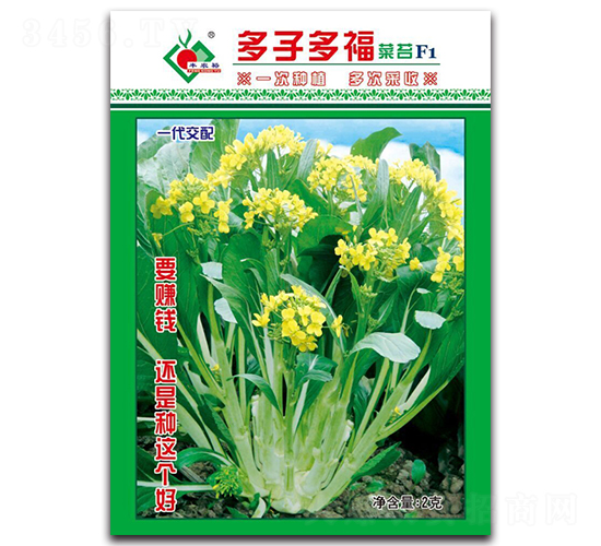 å¤šå­å¤šç¦èœè‹”F1-èœå¿ƒç¨®å­-è±è£•è¾²(nÃ³ng)æ¥­(yÃ¨)