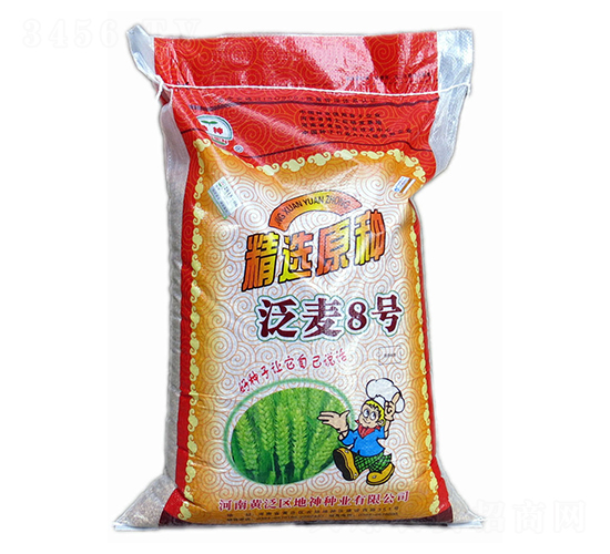 æ³›éº¥8è™Ÿ(hÃ o)-å°éº¥ç¨®å­-åœ°ç¥žç¨®æ¥­(yÃ¨)