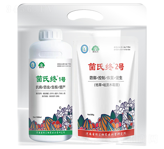 箘氏終1號+箘氏終2號-加谷沃