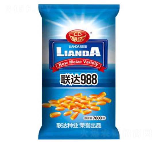 聯(lián)達(dá)988-玉米種子-聯(lián)達(dá)種業(yè)